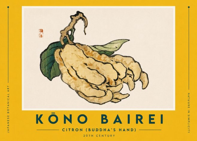 Kōno Bairei Citron (Buddha's Hand) No5 - Juliste