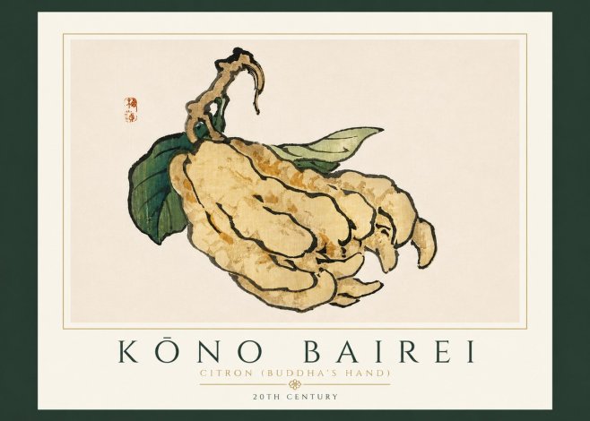 Kōno Bairei Citron (Buddha's Hand) No6 - Juliste