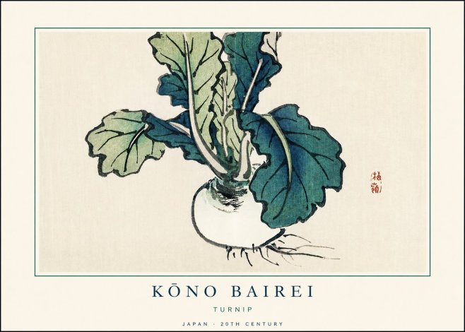 Kōno Bairei Turnip No1 - Juliste