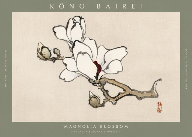 Kōno Bairei Magnolia Blossom No2 - Juliste