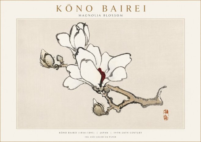 Kōno Bairei Magnolia Blossom No3 - Juliste