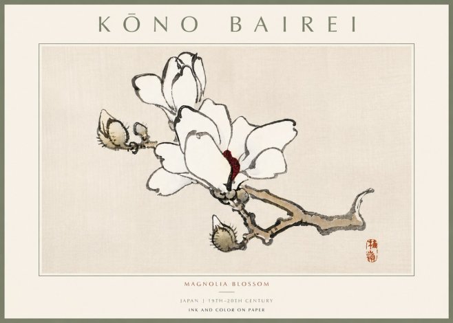 Kōno Bairei Magnolia Blossom No5 - Juliste