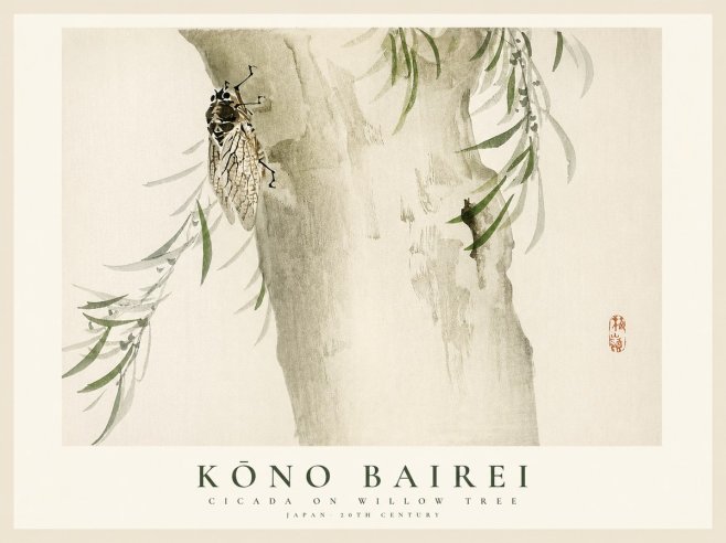 Kōno Bairei Cicada on Willow Tree No1 - Juliste