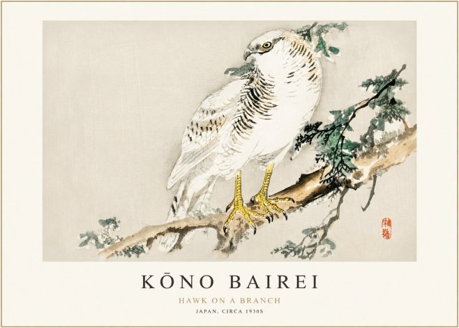 Kōno Bairei Hawk on a Branch No1 - Juliste