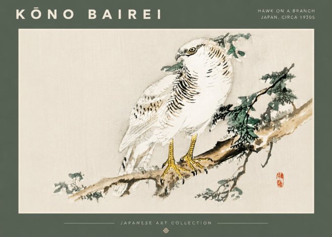 Kōno Bairei Hawk on a Branch No4 - Juliste