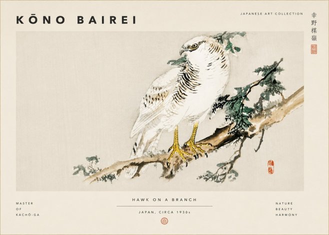 Kōno Bairei Hawk on a Branch No6 - Juliste