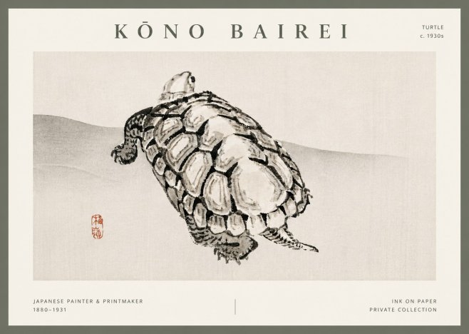 Kōno Bairei Turtle No5 - Juliste