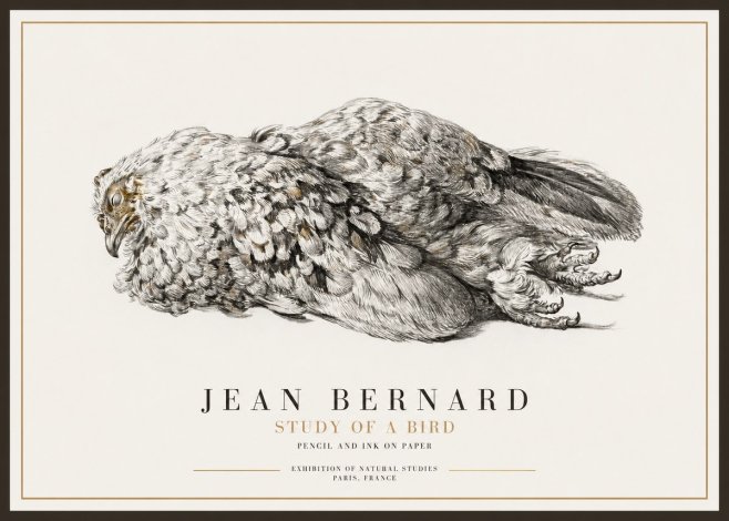 Jean Bernard Study of a Bird I No1 - Juliste