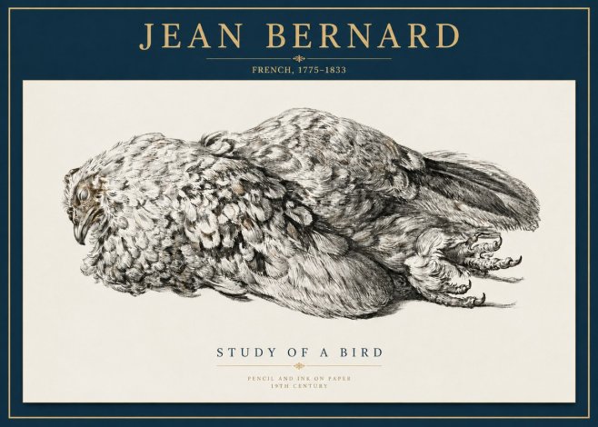 Jean Bernard Study of a Bird I No5 - Juliste