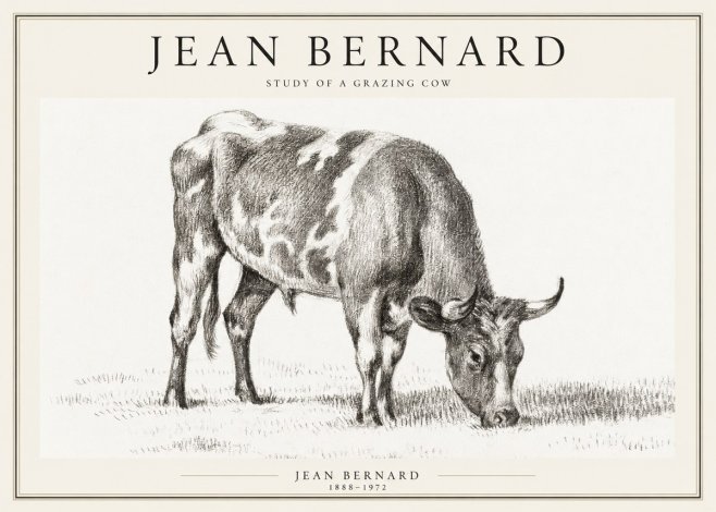 Jean Bernard Grazing Cow I No2 - Juliste