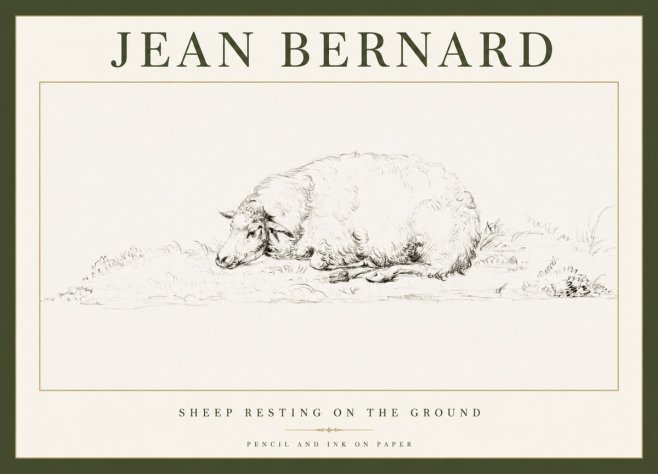 Jean Bernard Sheep Resting on the Ground No1 - Juliste