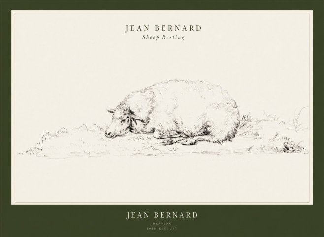 Jean Bernard Sheep Resting on the Ground No3 - Juliste