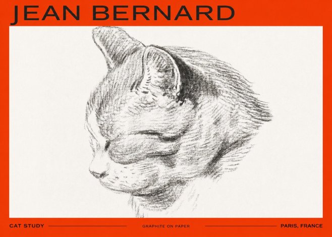 Jean Bernard Cat Study I No2 - Juliste