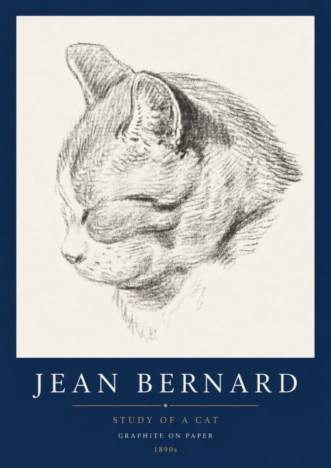 Jean Bernard Cat Study I No5 - Juliste