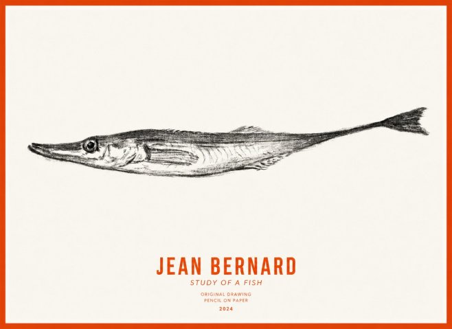 Jean Bernard Study of a Fish I No3 - Juliste
