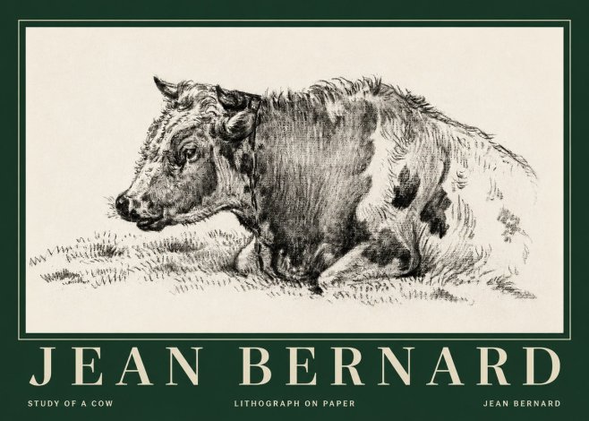 Jean Bernard Resting Cow I No5 - Juliste