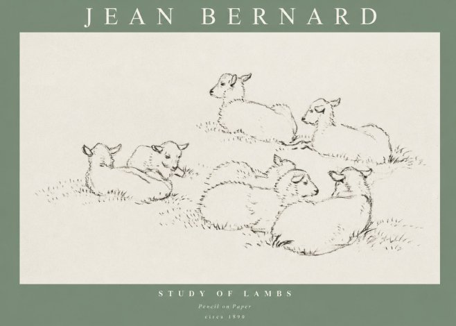 Jean Bernard Study of Lambs No1 - Juliste