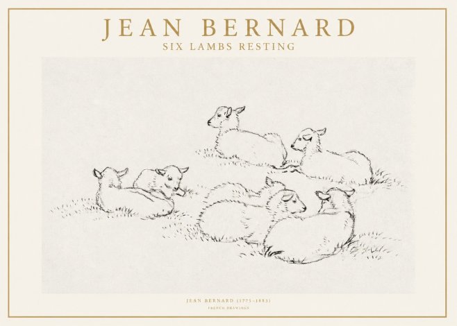 Jean Bernard Study of Lambs No2 - Juliste