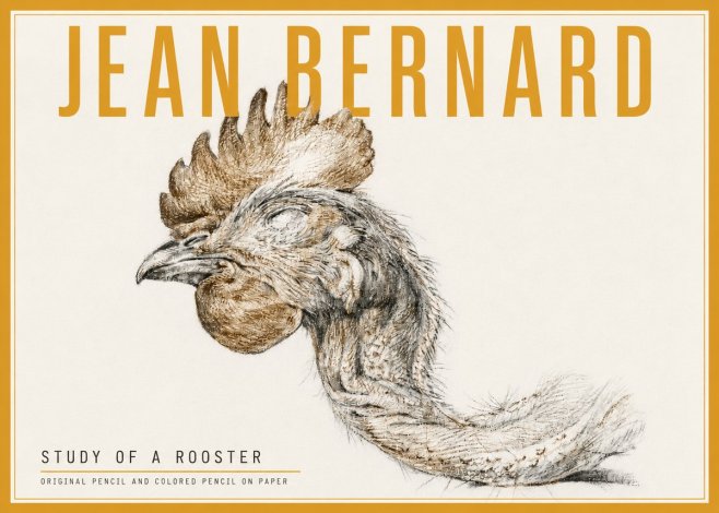 Jean Bernard Study of a Rooster Head No5 - Juliste