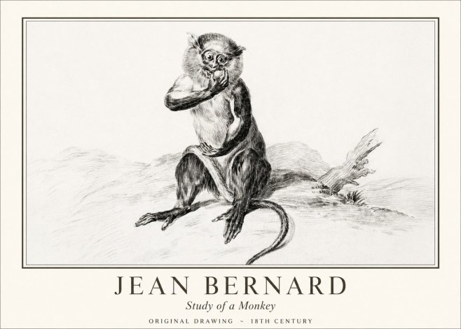 Jean Bernard Study of a Monkey No1 - Juliste