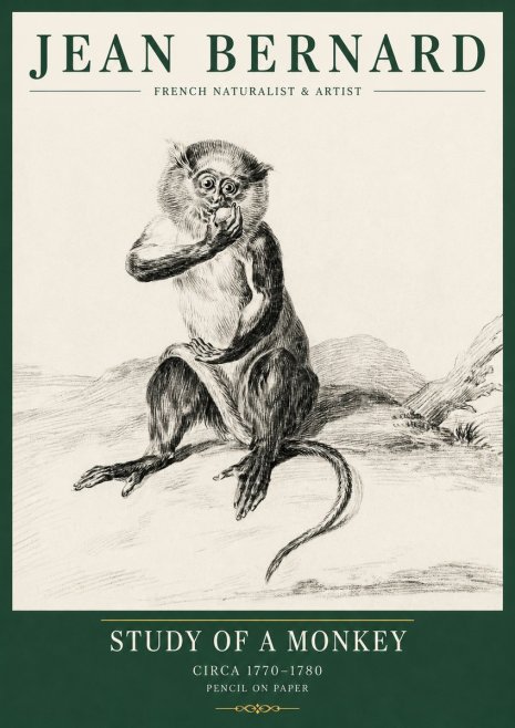 Jean Bernard Study of a Monkey No5 - Juliste
