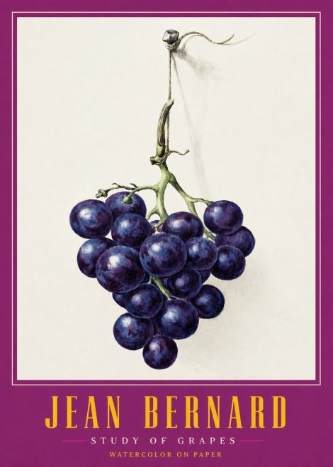 Jean Bernard Grapes No3 - Juliste