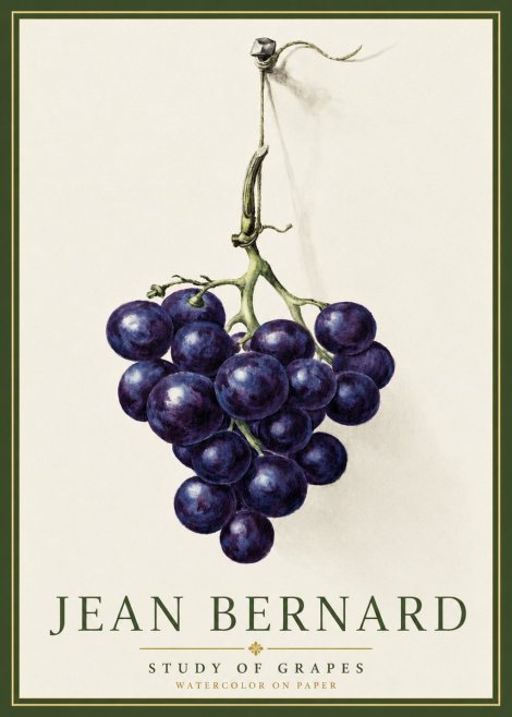 Jean Bernard Grapes No5 - Juliste