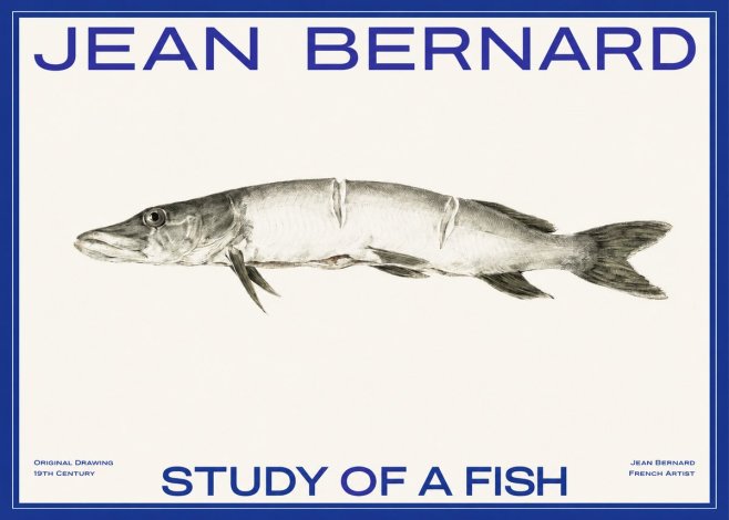 Jean Bernard Study of a Fish II No2 - Juliste