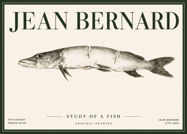 Jean Bernard Study of a Fish II No4 - Juliste