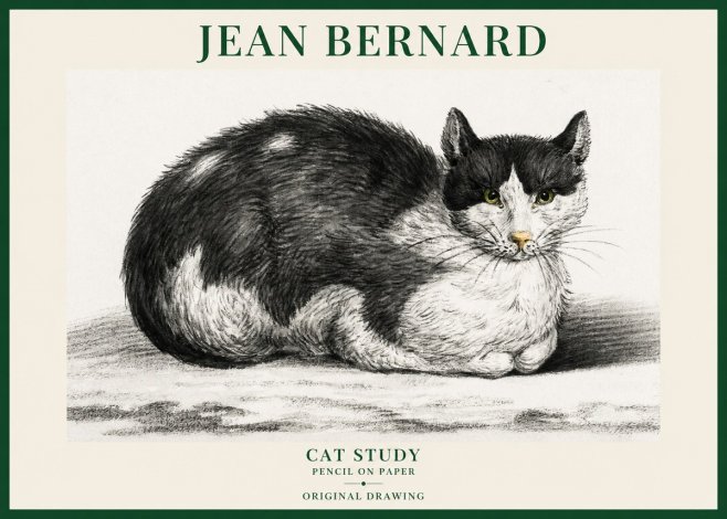 Jean Bernard Cat Study II No6 - Juliste