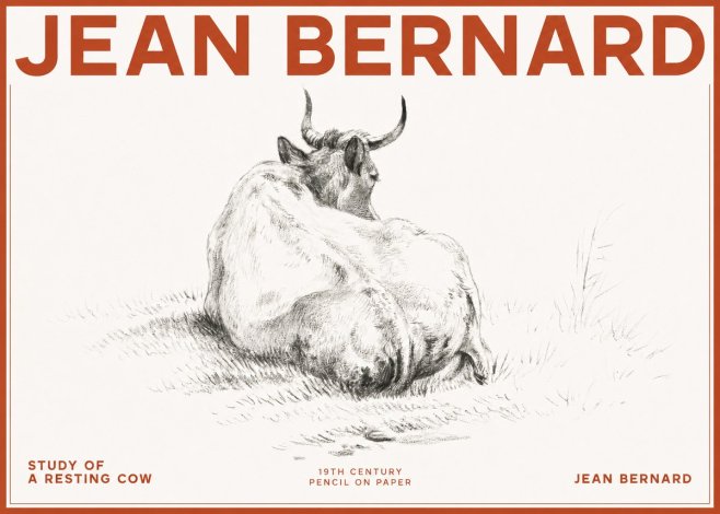 Jean Bernard Study of a Resting Cow I No2 - Juliste