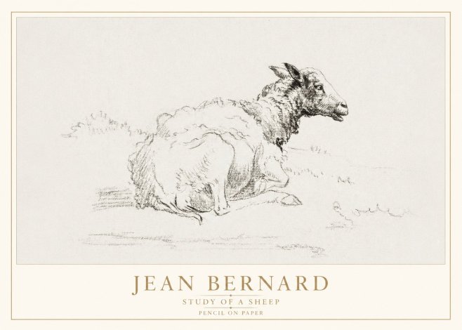 Jean Bernard Sheep Resting No4 - Juliste
