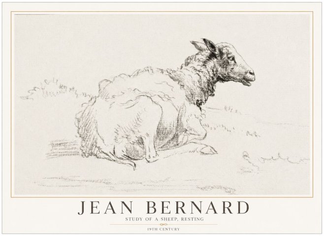 Jean Bernard Sheep Resting No5 - Juliste