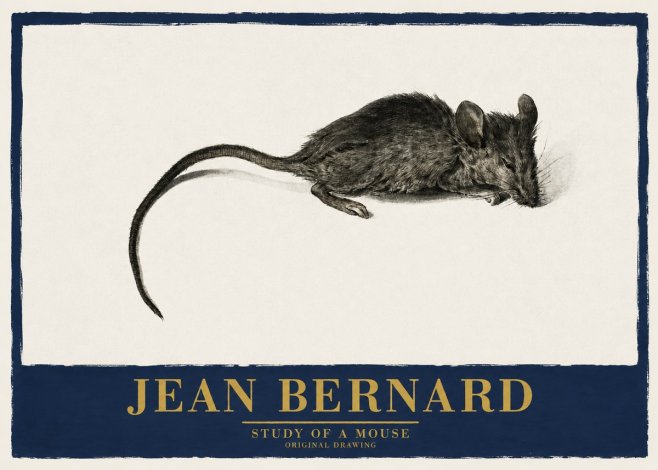 Jean Bernard Study of a Mouse I No2 - Juliste
