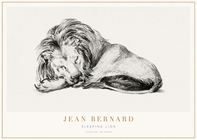 Jean Bernard Sleeping Lion No3 - Juliste