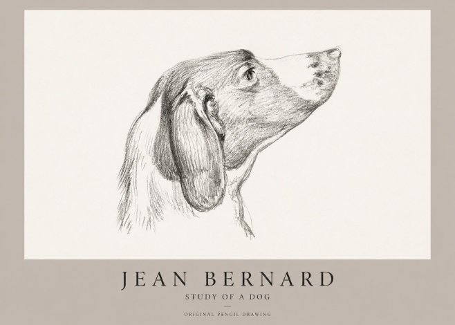 Jean Bernard Study of a Dog I No1 - Juliste