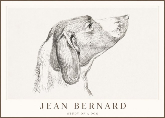Jean Bernard Study of a Dog I No2 - Juliste