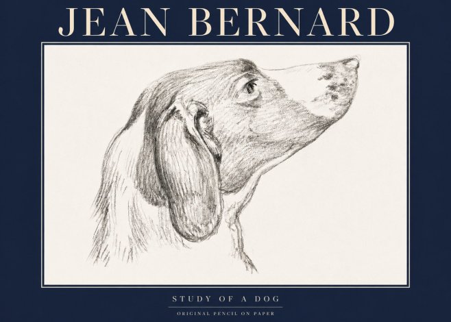 Jean Bernard Study of a Dog I No4 - Juliste