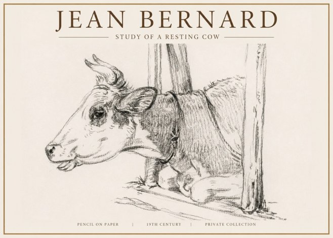Jean Bernard Study of a Resting Cow II No4 - Juliste