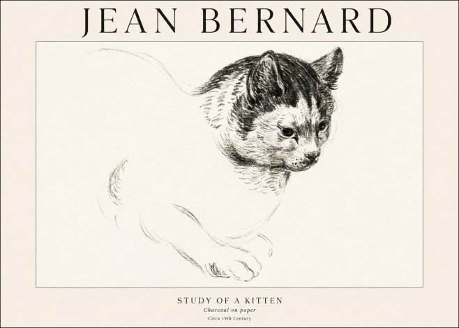 Jean Bernard Study of a Kitten I No1 - Juliste