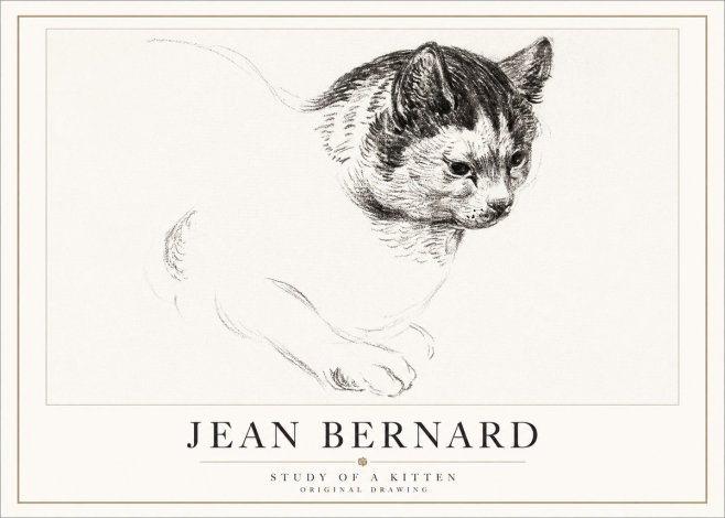 Jean Bernard Study of a Kitten I No5 - Juliste