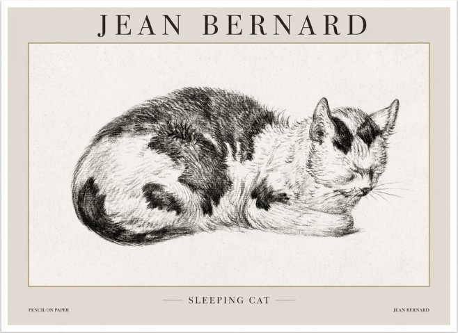 Jean Bernard Sleeping Cat I No1 - Juliste