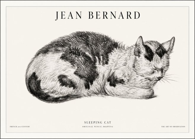 Jean Bernard Sleeping Cat I No5 - Juliste