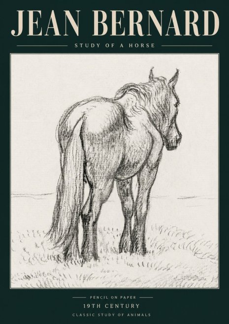 Jean Bernard Study of a Horse II No5 - Juliste