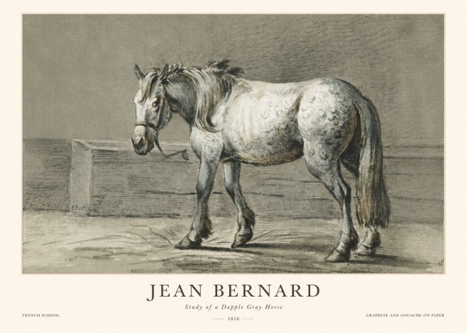 Jean Bernard Study of a Dapple Gray Horse No1 - Juliste