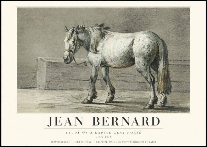 Jean Bernard Study of a Dapple Gray Horse No3 - Juliste
