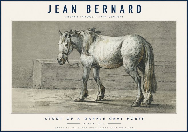 Jean Bernard Study of a Dapple Gray Horse No6 - Juliste