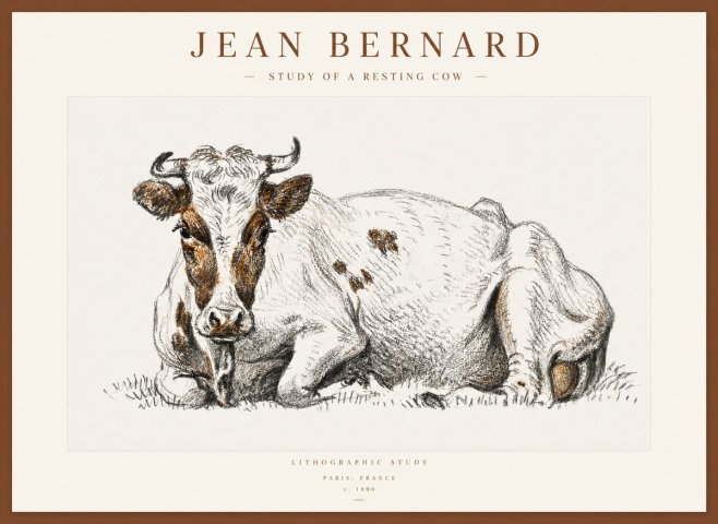 Jean Bernard Study of a Resting Cow III No1 - Juliste