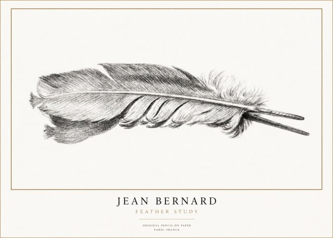 Jean Bernard Feather No3 - Juliste