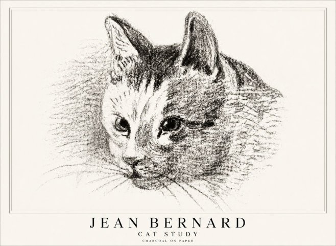 Jean Bernard Cat Study III No1 - Juliste